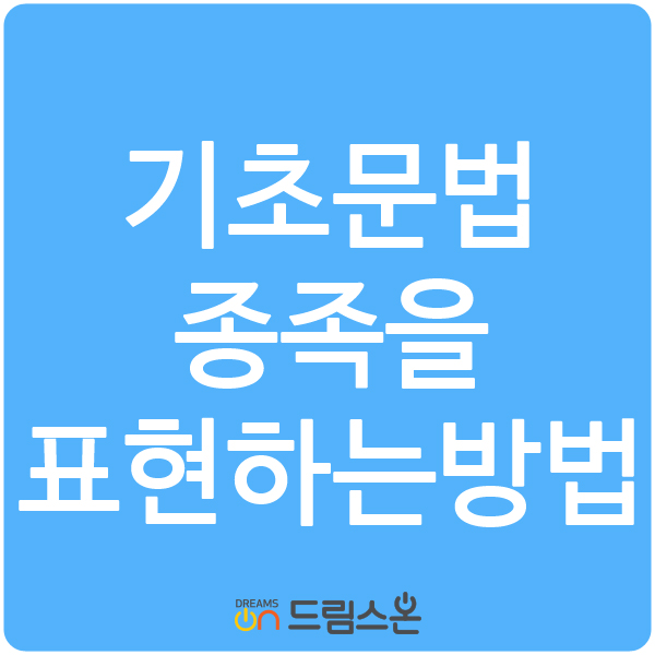  [드림스온] 영어기초문법 종족을 표현하는방법