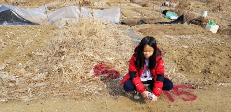  18년 주말농장 분양 (2/19)