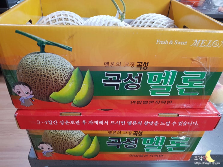 [곡성멜론] 메론 먹고 싶다~ ㅠㅠ
