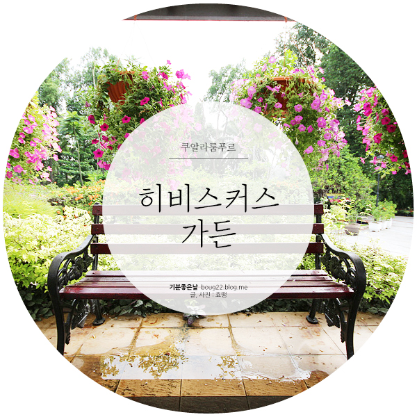  [말레이시아 여행] 쿠알라룸푸르 | 히비스커스 가든