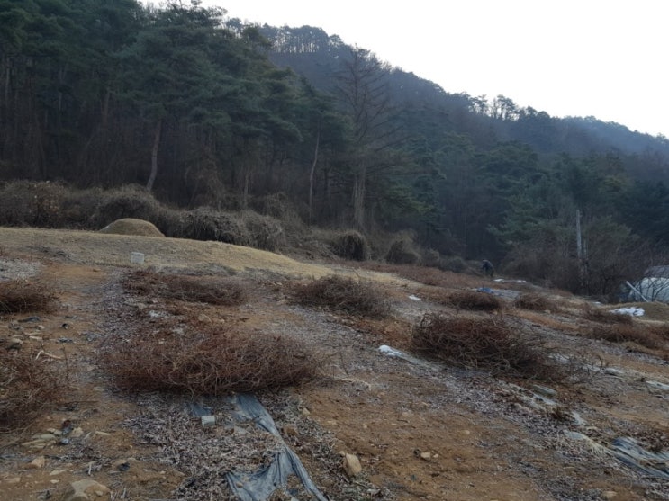  주산안녕