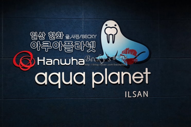  일산 가볼 만한 곳 한화 아쿠아 플라넷 해양 수족관