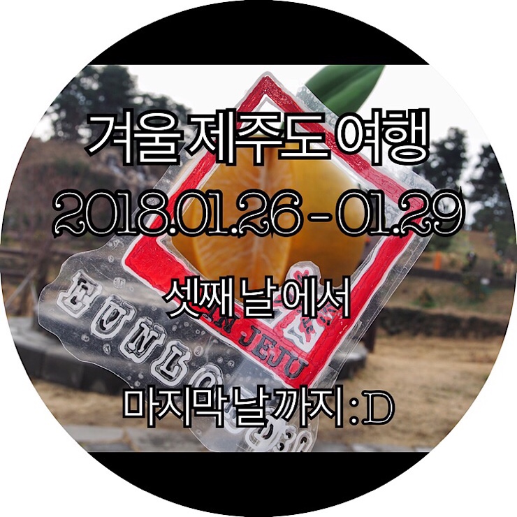 [제주도 3박 4일]급으로 가게된 제주도여행 하지만 누구보다 알차게 다녀온 겨울제주도여행 셋째 날 에서 마지막 날 까지: )