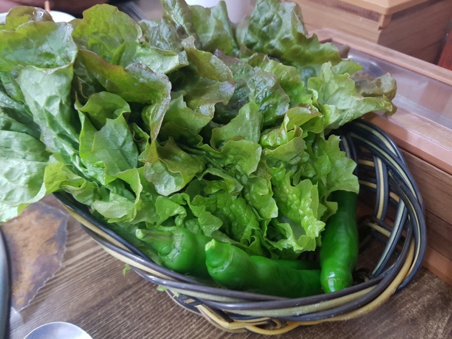 백기미가든 사진 5
