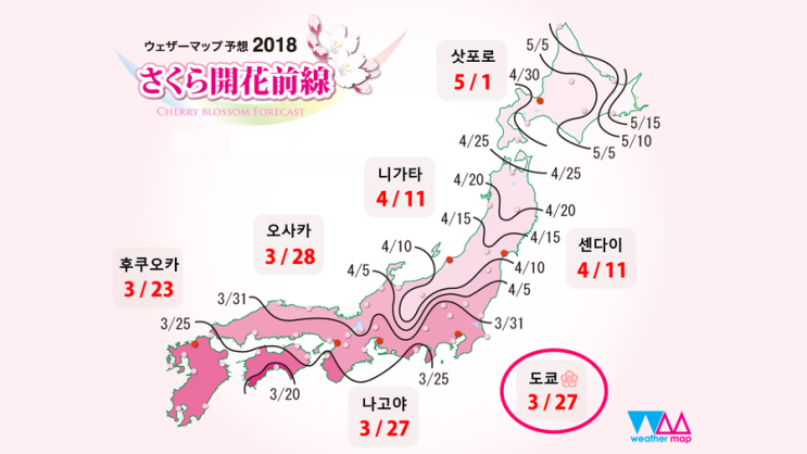 일본 사쿠라 보러 여행간다면!? 2018년 사쿠라전선 공유