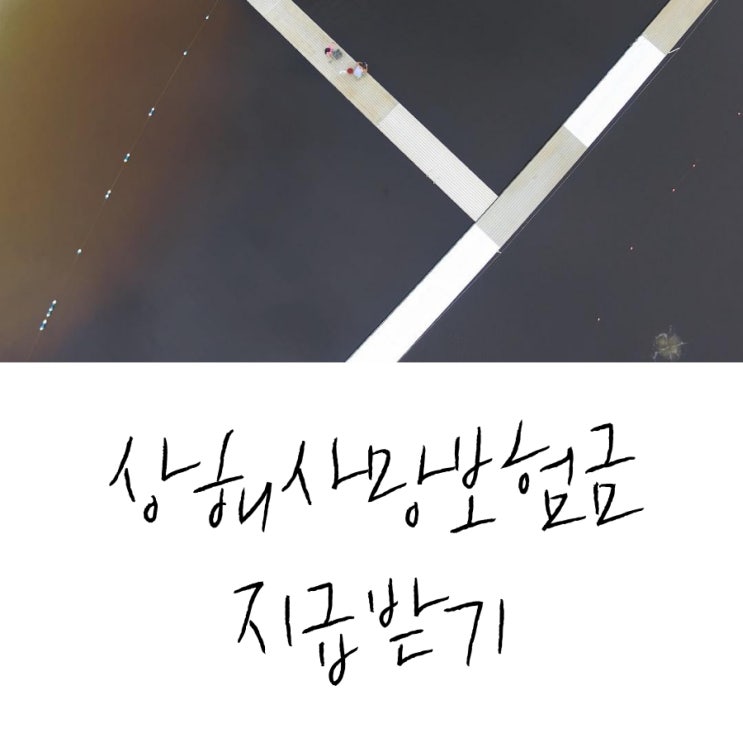  뇌염모기로 인한 상해보험금도 부부손해사정사는 지급받았습니다.