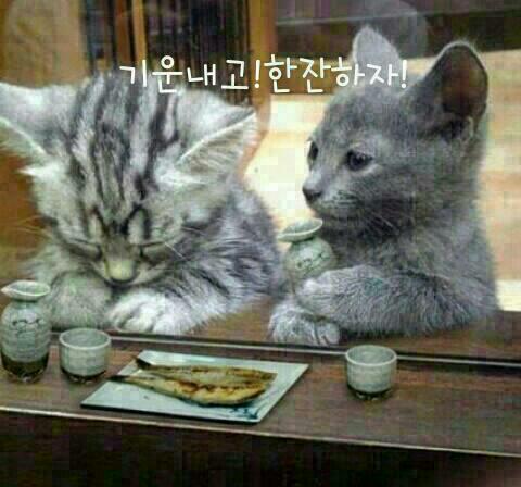  한일없이 바쁜날