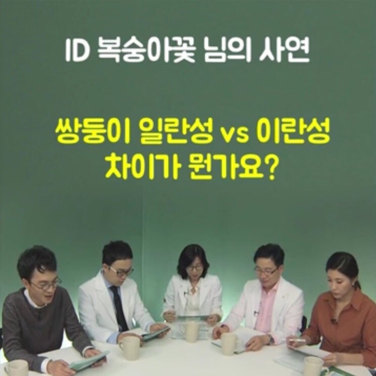  쌍둥이 일란성 vs 이란성 차이가 뭔가요?