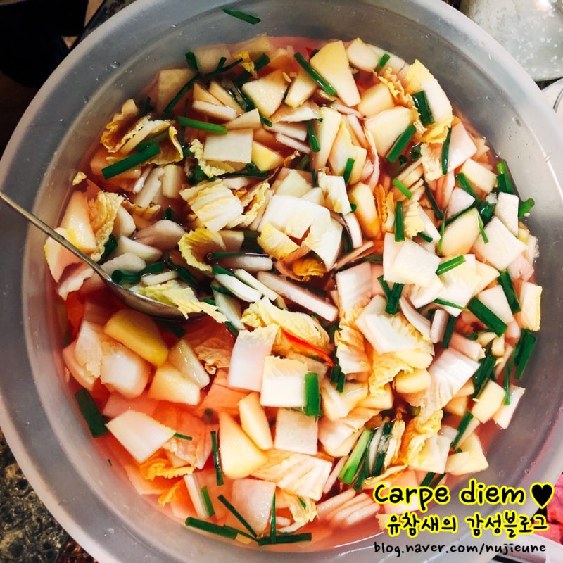 김장백종원배추막걸리북식물김치