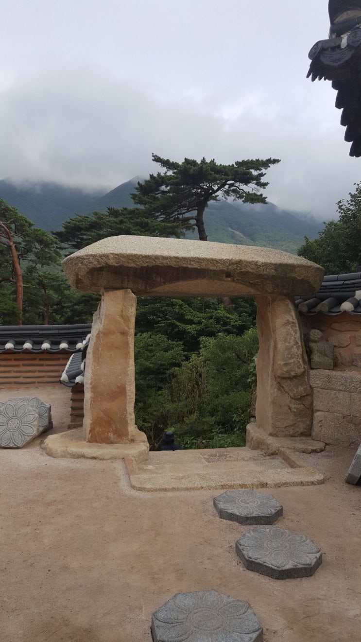  바위 _ 유치환