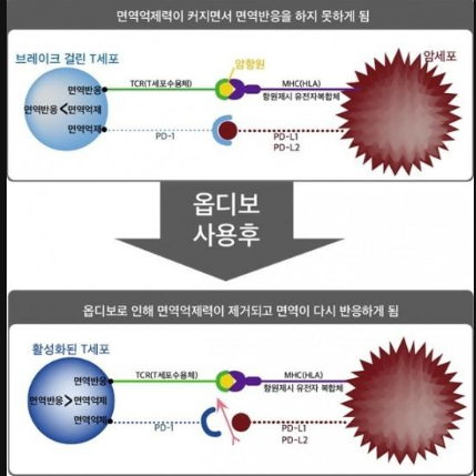 제넥신이 제일 강해 보인다 : 네이버 블로그