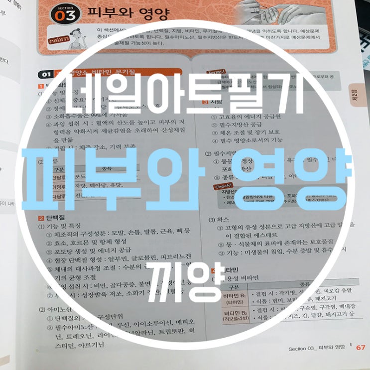  네일아트필기 전문적인 피부영양에 대해 알아보자!