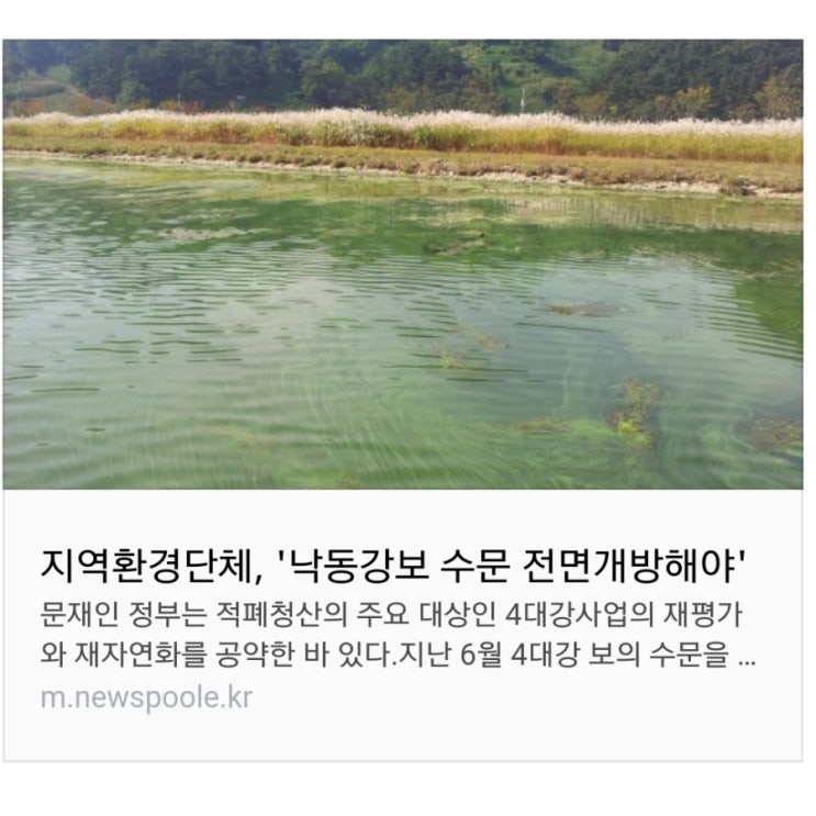  지역환경단체, '낙동강보 수문 전면개방해야'