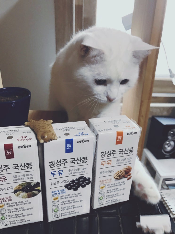황성주 국산콩 두유 검은콩고칼슘, 호두와아몬드, 검은콩과17곡 후기 황성주 국산콩 두유 검은콩고칼슘, 호두와아몬드, 검은콩과17곡 후기
