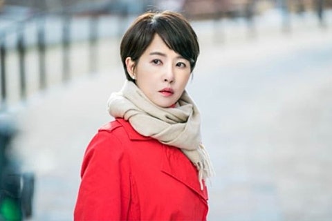 미래행정사사무소 이미지