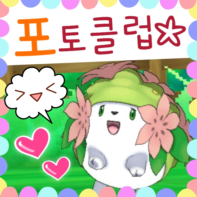  이로치 포켓몬 함께, 알로라 포토클럽