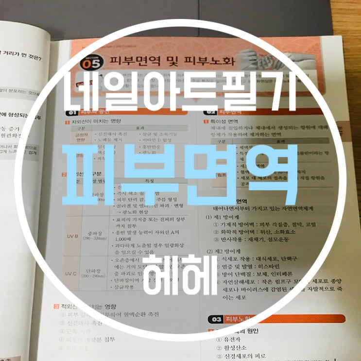  네일국가고시 섹션5! 피부면역에 대해서 알아보자!