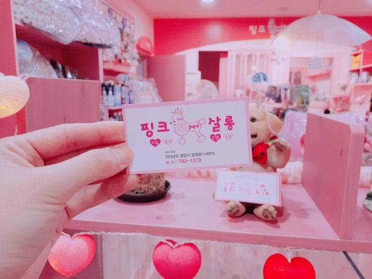 사진 2