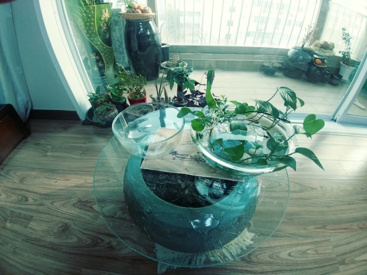 확실히 합시다!!...  <b>갑질</b>, 권력 횡포, 직무유기, 성희롱 <b>구의원</b> No!!