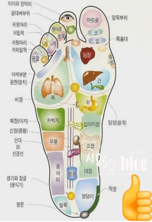 아픈 곳 손 발바닥 지압 방법 : 네이버 블로그