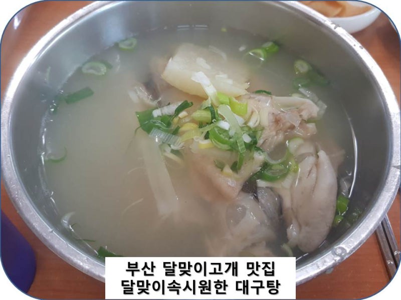 부산 달맞이고개 맛집 :> 속시원한 대구탕 본점