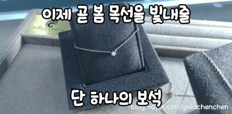  이제 곧 봄 목선을 빛내줄 단 하나의 보석 목걸이 입학, 축하선물