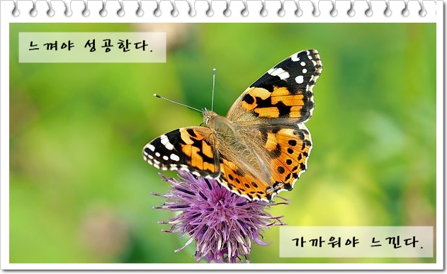  행복한 선물 - 정명석목사 감동 잠언