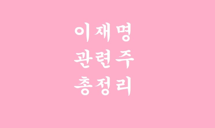  이재명 관련주 총정리 정치테마주