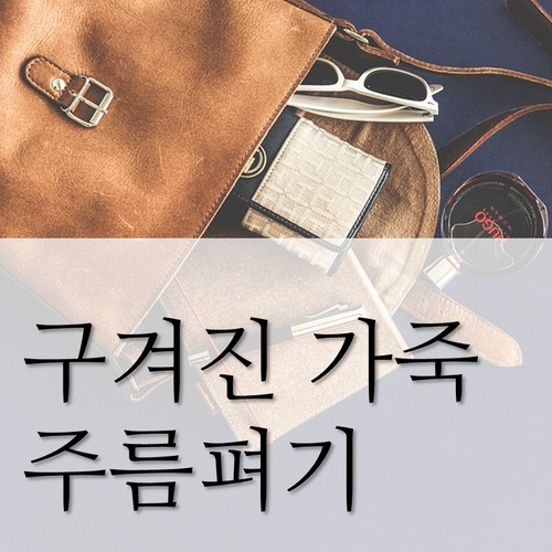 [GUCCI] 구찌 / 구찌백 / 구찌리폼 / 토드백리폼