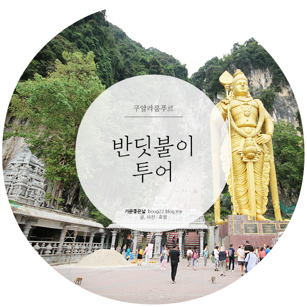  [말레이시아 여행] 쿠알라룸푸르 | 반딧불이 투어