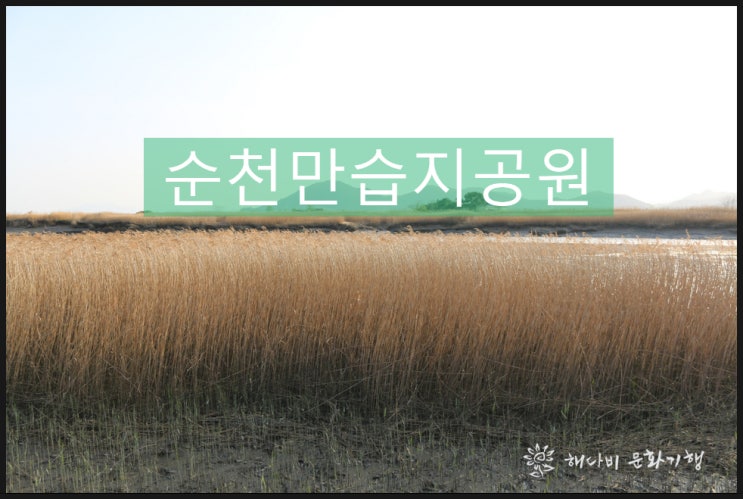  순천 순천만습지[명승 41호], 해다비 & 해태한국문화연구소