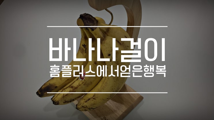  바나나걸이 홈플러스에서 얻은 작은 행복