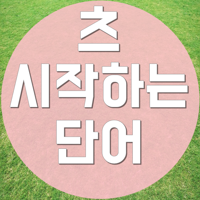  츠로 시작하는 단어 진짜사용할수있는것은?
