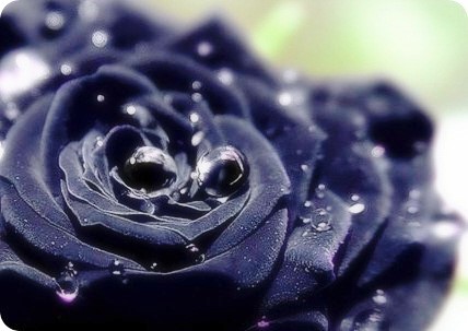  [백현빙의글]백설마녀-2