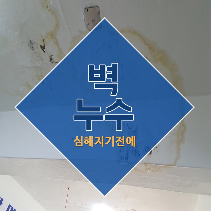  벽누수 심해지기전에