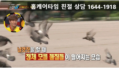  비둘기 퇴치/비둘기 배설물 청소 정말 할 필요가 있을까?? 비둘기에 대해 자세히  알아보겠습니다.