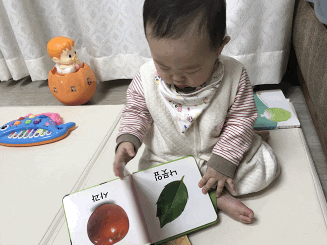  생후 269일 벌써 2월도 끝?!!/눈 사시아니겠지?