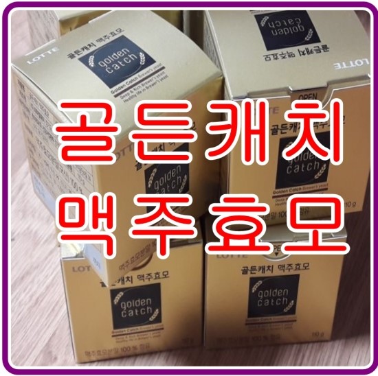  골든캐치맥주효모  두유에 타서한잔 탈모관리에 효과적이다