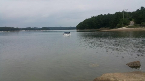 전기차 정부 보조금 때문에 자동차 보험사기? 전기차 정부 보조금 때문에 자동차 보험사기?