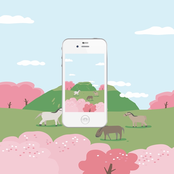 [모모팝] 아이폰 안드로이드 봄 벚꽃 배경화면 공유