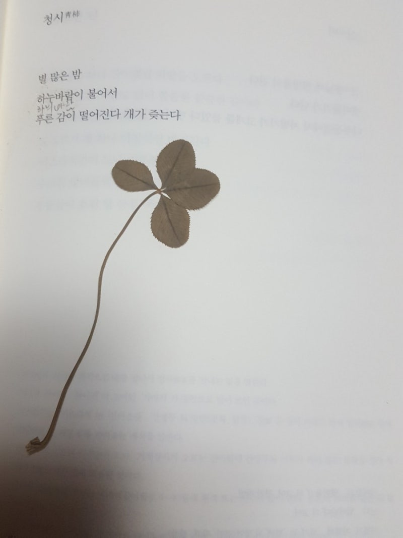 야누스의 두 얼굴 : 네이버 블로그