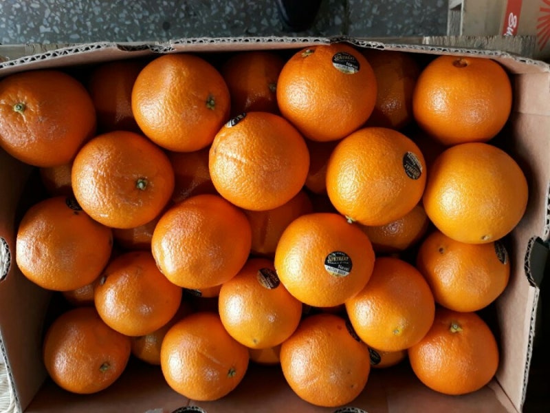 미국산 오렌지 직수입과 도매 가격차이 얼마나 날까? : 네이버 블로그