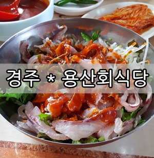  별이 다섯 개, 경주 <용산회식당> * 회덮밥 :) 20180224(토) 점심