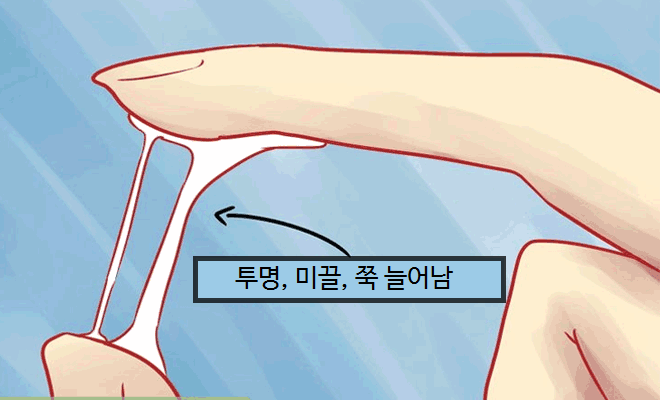 배란점액 관찰법(색깔/점도/양)과 임신확률 : 네이버 블로그