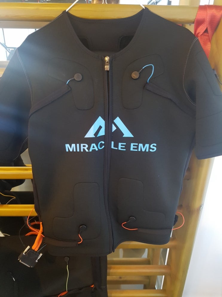  EMS 도입