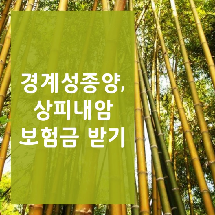  자궁경부이형성증 (N87.9) 진단 제자리암, 상피내암보험금으로 부부손해사정사는 지급받았습니다.