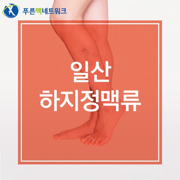 일산하지정맥류 증상 어떤것들이 있을까?
