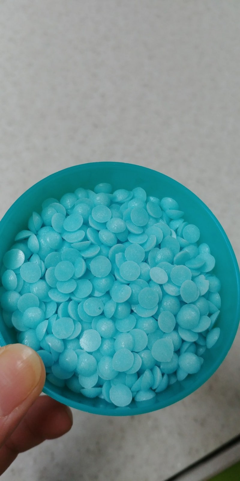 앵무새 냄새 안나는 법 | TikTok, image size:800x1600