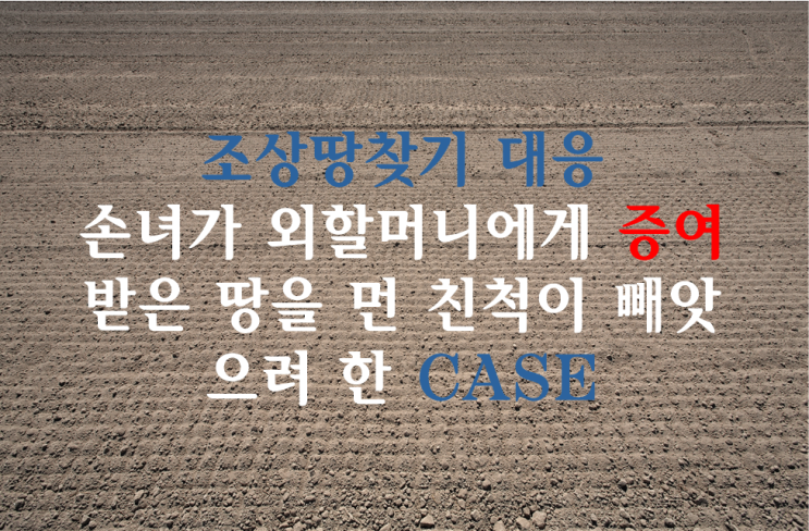  조상땅찾기(소유권확인소송) 대응  승소사례 - 손녀 VS 먼친척