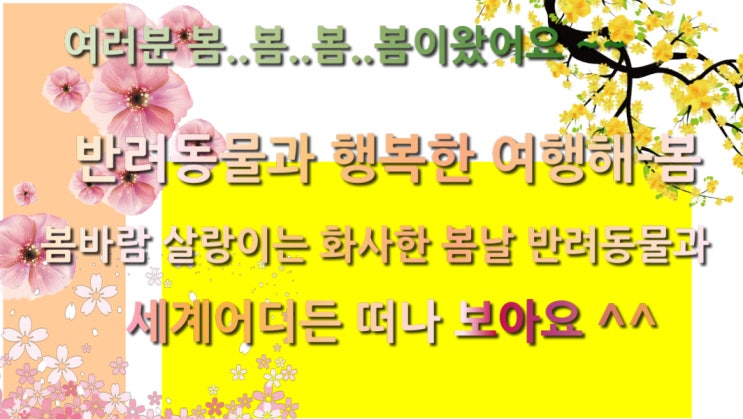  부루나이 개 고양이 출 입국 규정-[반려동물과 많이 출국하지않는 나라 시리즈-부르나이편]